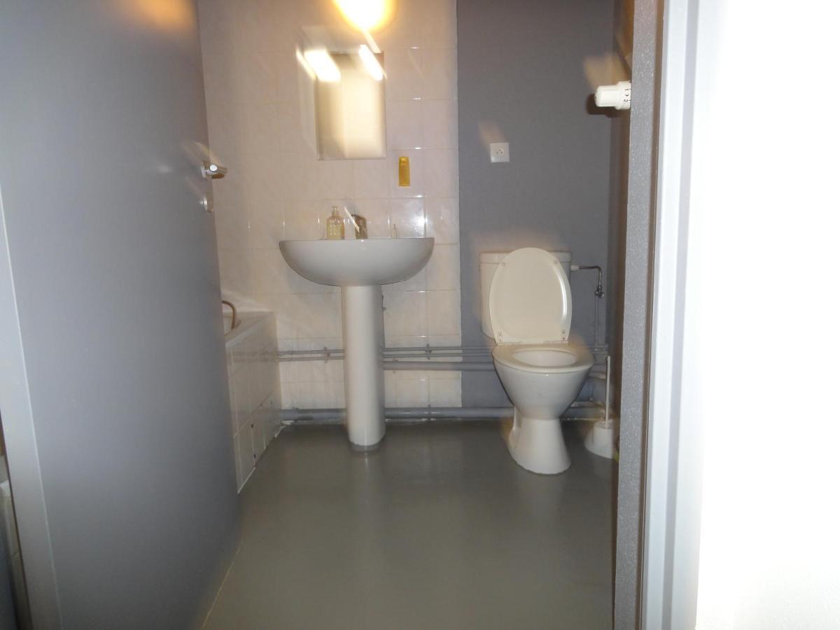 Logement Type Studio 1 Piece Proche Zenith Страсбург Екстериор снимка
