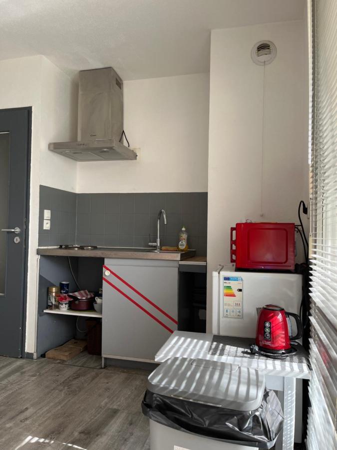 Logement Type Studio 1 Piece Proche Zenith Страсбург Екстериор снимка